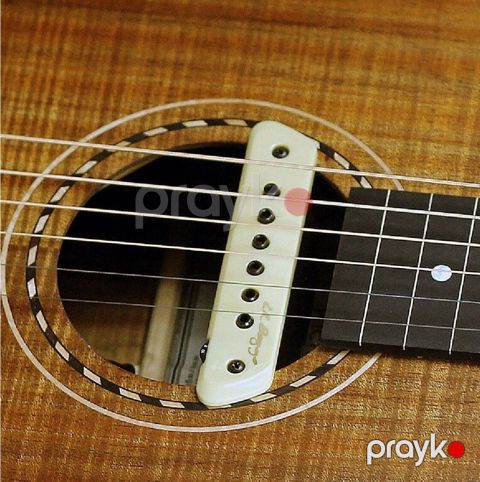 LR Baggs M1 Active Soundhole Pickup — Bakı