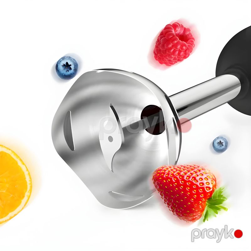RAF R.319 Çoxfunksiyalı Blender 2 Sürət Ayarlı Blender Əl Blenderi — Blenderlər, xırdalayanlar və mikserlər, Bakı (3)
