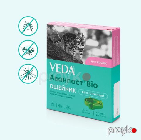 Boyunluq Veda pişiklər üçün, plastik, açıq yaşıl, 35 sm — Bakı