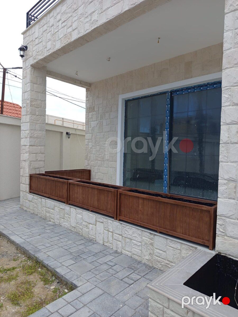 Dibçəklər — Bitkilər, Bakı (5)