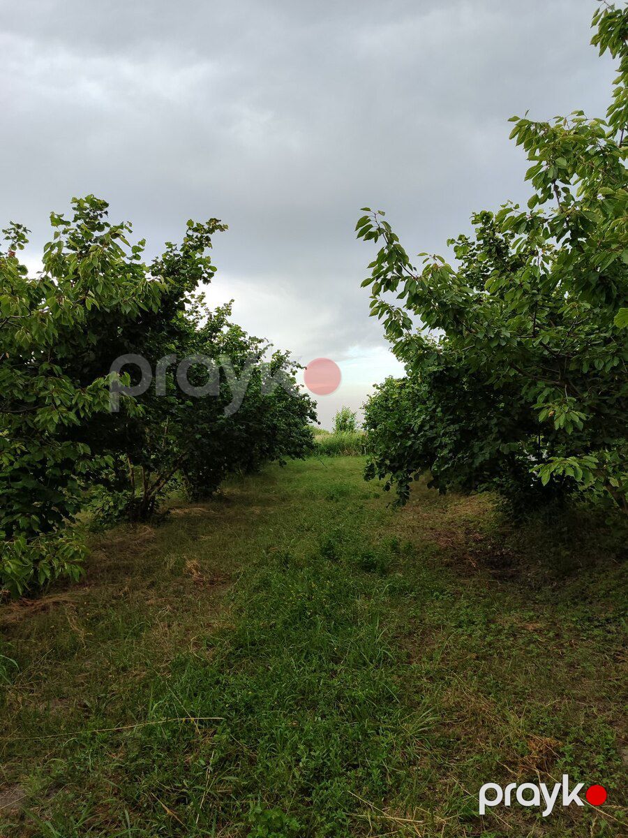 10 sot torpaq sahəsi, Xaçmaz r — Torpaq, Xaçmaz (7)