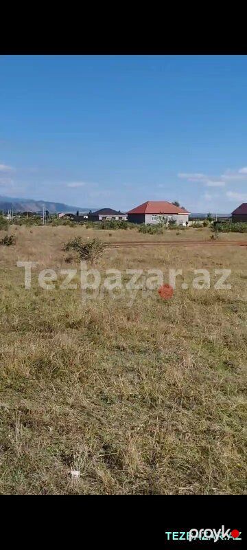 Səki səhəri 121 kvartal — Torpaq, Şəki (2)