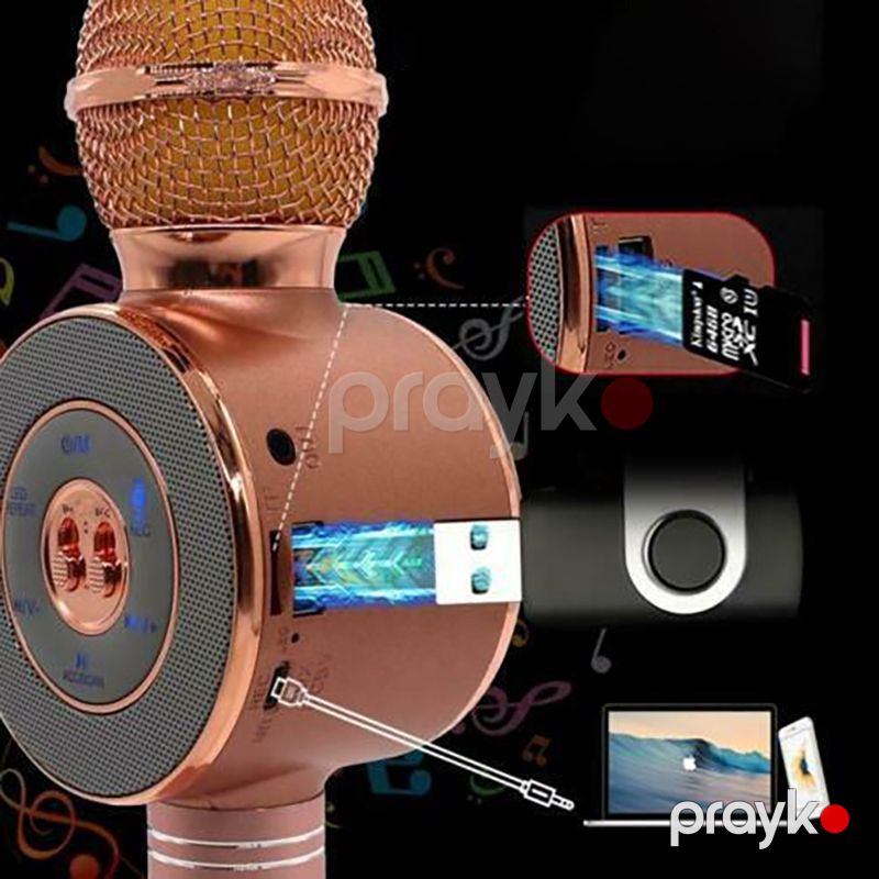 Wster WS-669 Bluetooth Mikrofon Simsiz Portativ Mikrofon 5W — Elektronika, Bakı (4)