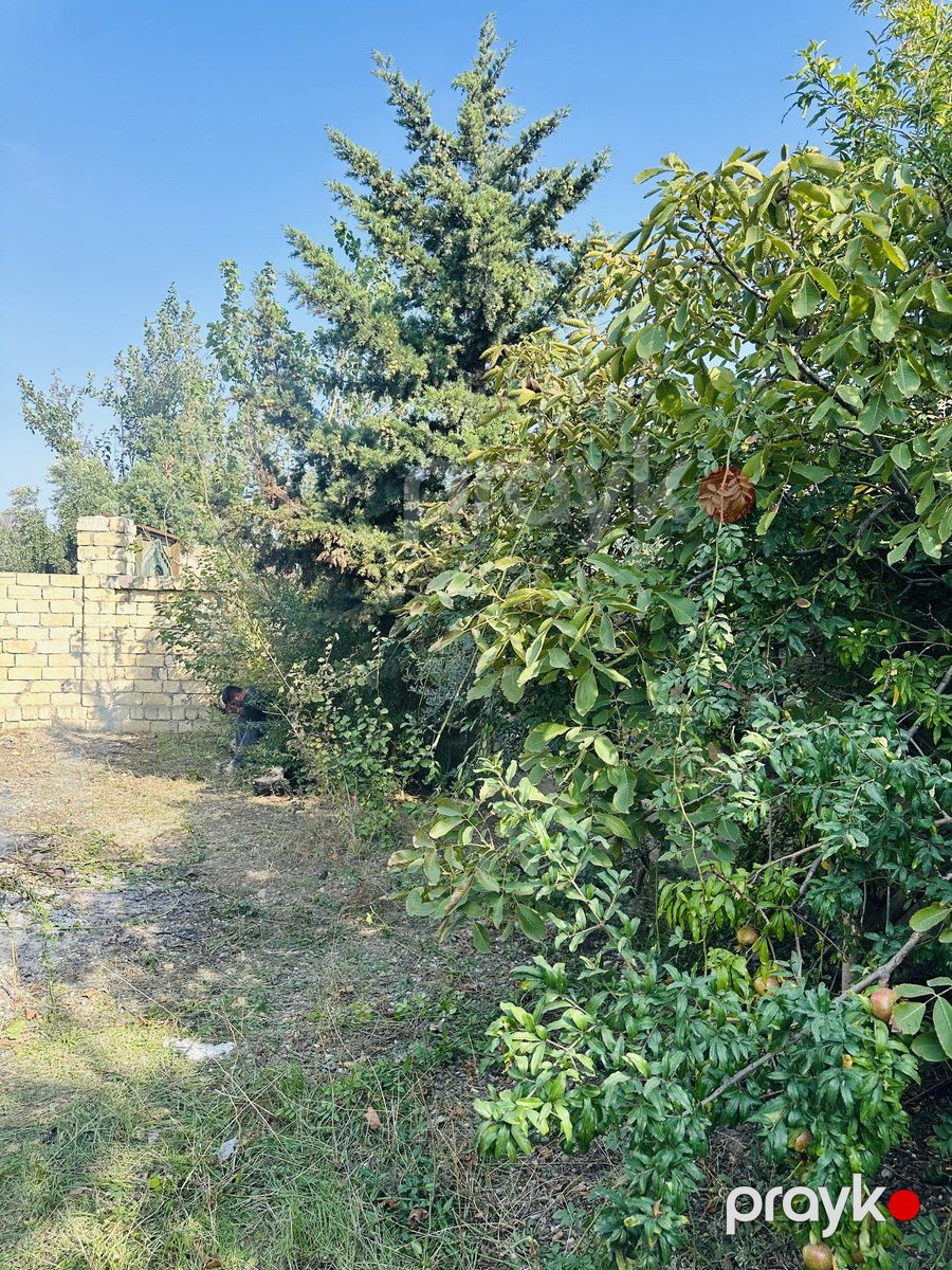 Satılır torpaq 4.2 sot — Torpaq, Bakı (10)