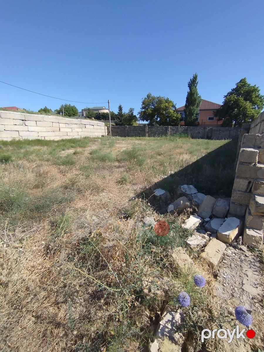 Satılır torpaq 9 sot — Torpaq, Bakı (8)