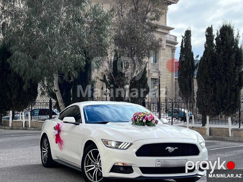 Ford mustang, 2018 il — Minik avtomobili icarəsi, Bakı (4)