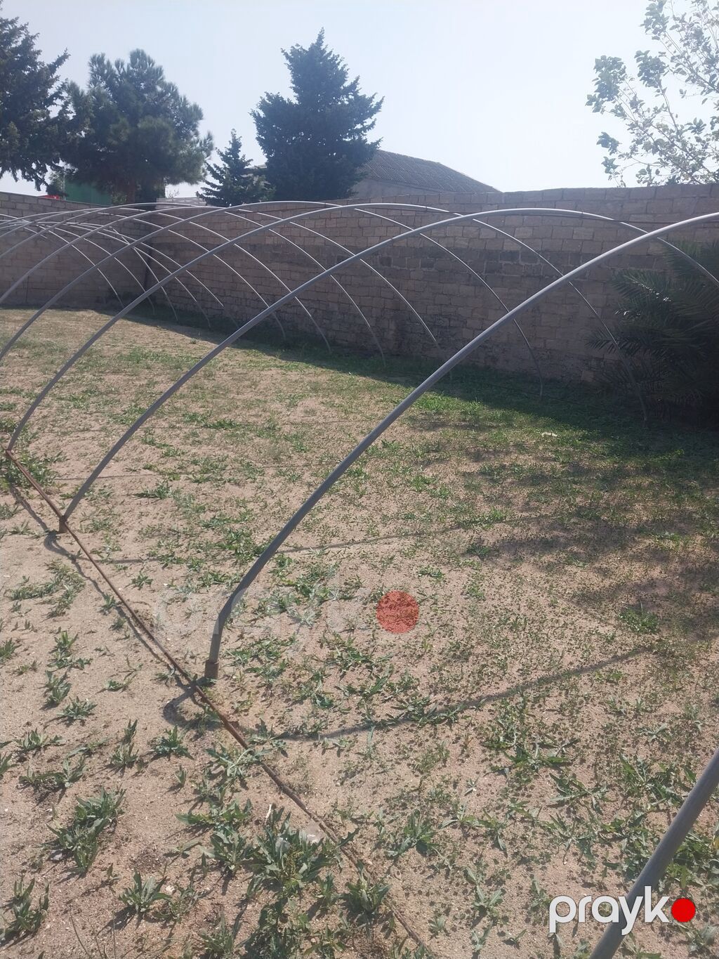 İstixana karkası – metal qövs konstruksiya - Material: sinklənmiş — Digər, Digah (3)