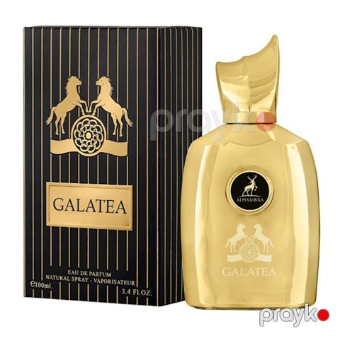 Alhambra Galatea kişilər üçün ətir suyu 100 ml — Bakı