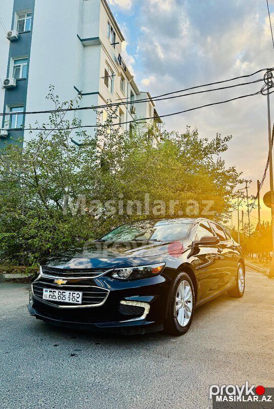 Chevrolet Malibu, 2019 il — Minik avtomobili icarəsi, Bakı (3)