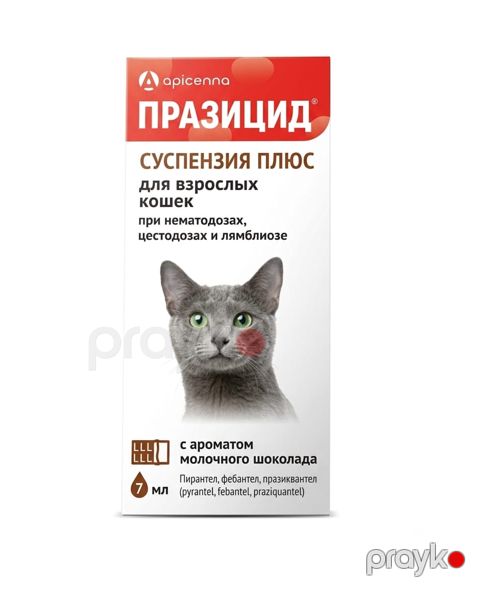 Suspenziya Apicenna, pişiklər üçün, 7 ml — Bakı