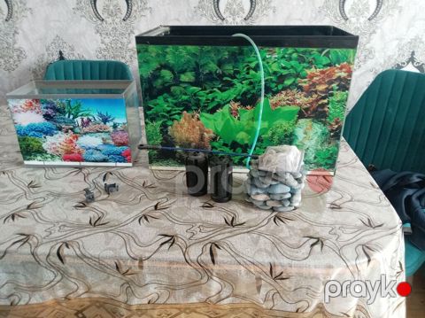 Akvarium dəsti - 2 ədəd şüşə akvarium: biri böyük, biri kiçik (hər — Sumqayıt