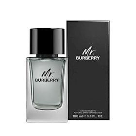 No Brand Mr. Burberry kişilər üçün tualet suyu 100 ml - uniquue_market90345 — Bakı