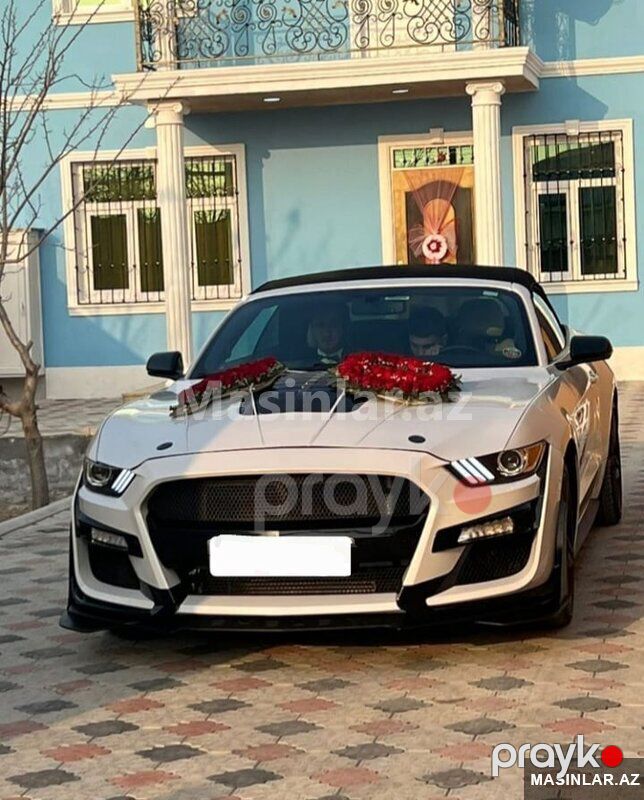 Ford Mustang, 2021 il — Minik avtomobili icarəsi, Bakı (4)