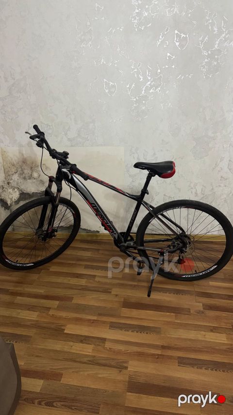 Mercury Mountain Race On hibrid/MTB tipli velosiped - Çərçivə: yüngül — Bakı