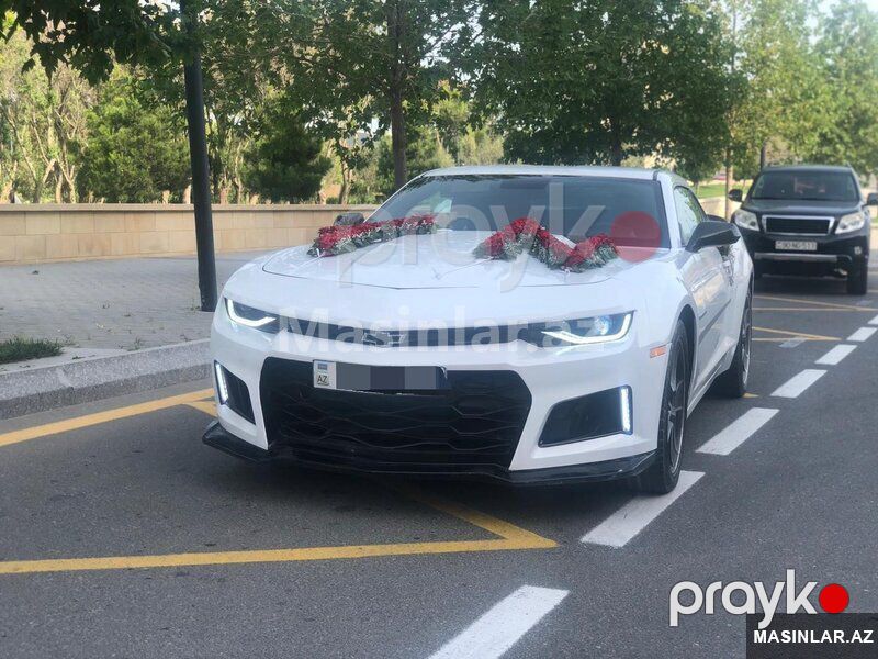 Chevrolet Camaro, 2020 il — Minik avtomobili icarəsi, Bakı (3)