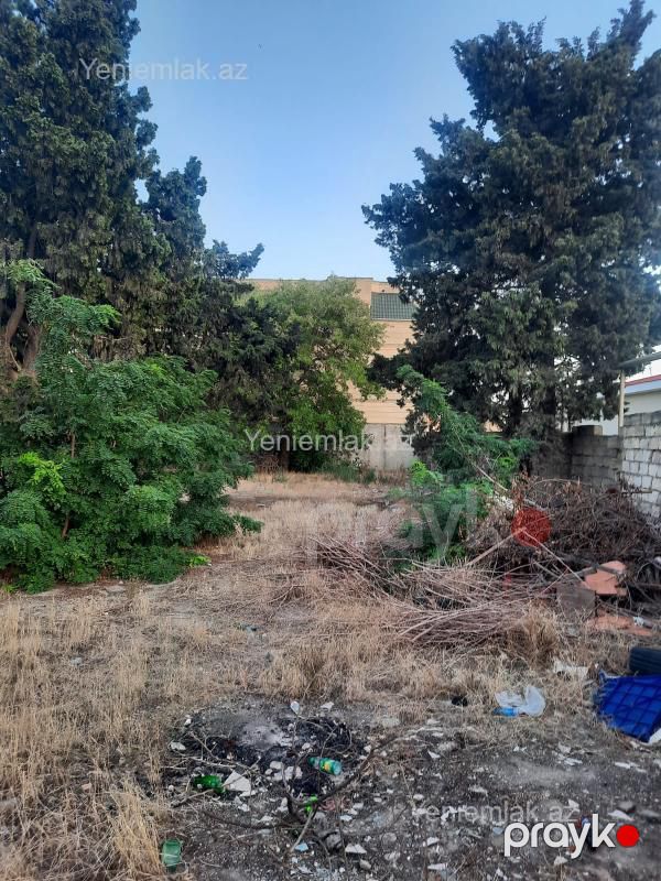 Satılır Torpaq sahəsi, 6 sot, Səbail rayonu — Torpaq, Bakı (4)