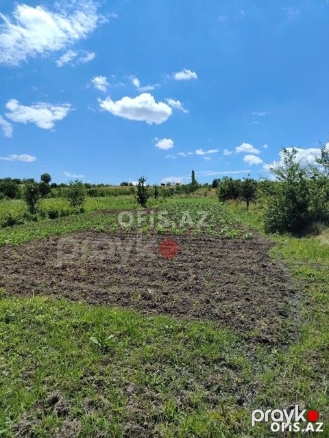Torpaq Satılır Quba, Torpaq sahəsi satılır, 32 sot — Quba