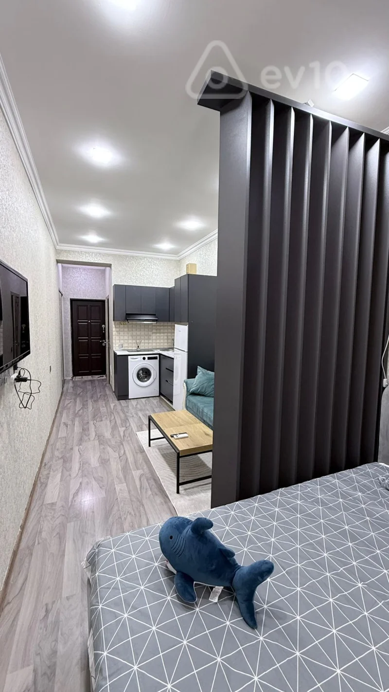 1 otaqlı mənzil, 35 m², Hüseynqulu Sarabiski küçəsi — kirayə — Mənzil, Bakı (4)