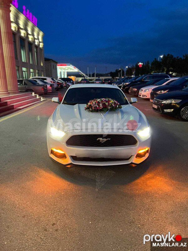 Ford mustang, 2018 il — Minik avtomobili icarəsi, Bakı (2)