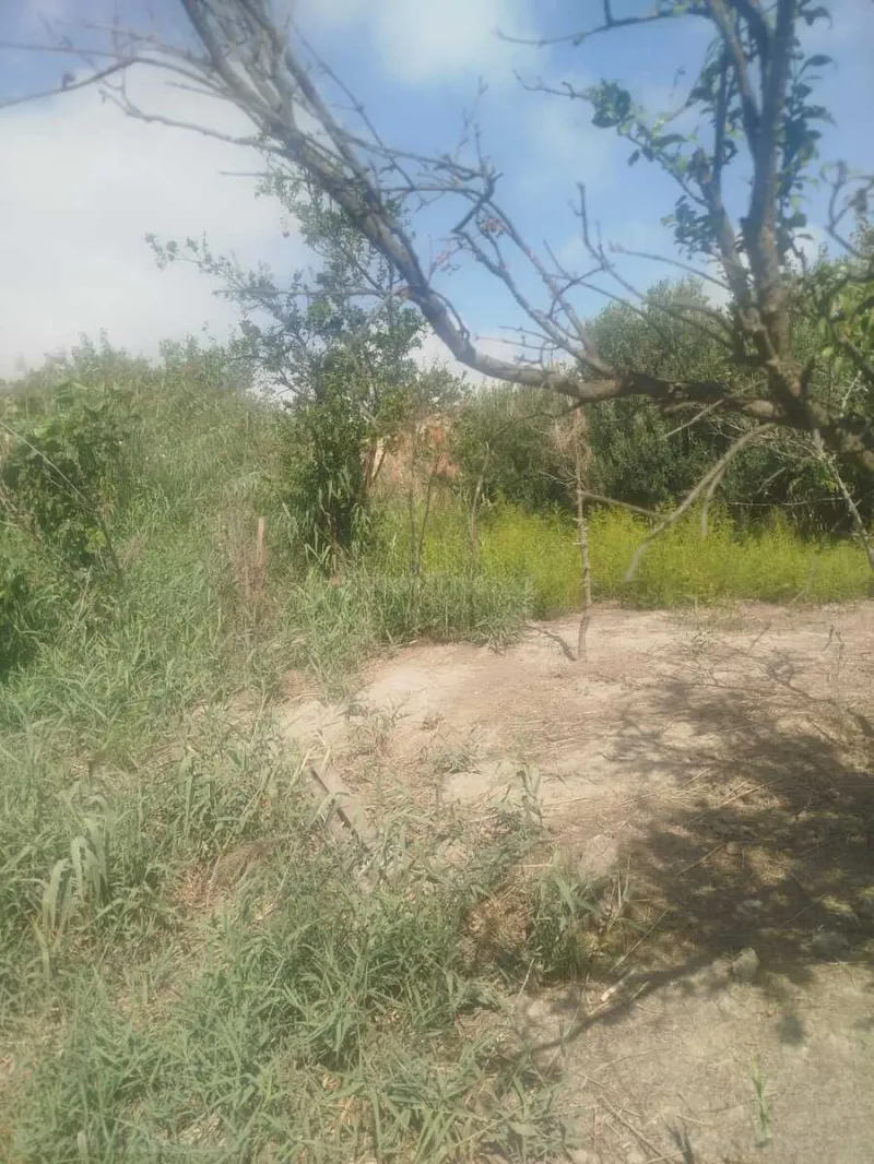 Satılır Torpaq 13 sot Bakı, Qaradağ r., Lökbatan — Torpaq, Bakı (8)