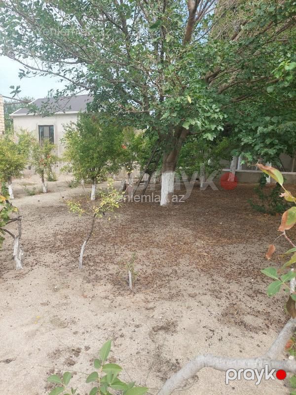 Satılır Torpaq sahəsi, 17 sot, Corat bağları — Torpaq, Sumqayıt (2)