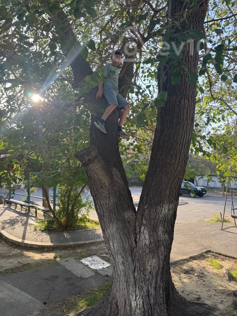 2 otaqlı mənzil, 85 m², Cəfər Xəndan küçəsi — kirayə — Mənzil, Bakı (10)
