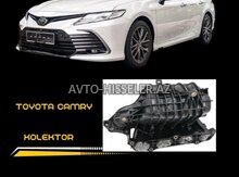 Toyota Camry 2018-2024 kollektoru — Bakı