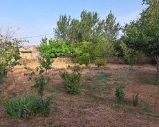 Torpaq Satılır Xətai r., Həzi Aslanov q., 13 sot — Torpaq, Bakı (7)