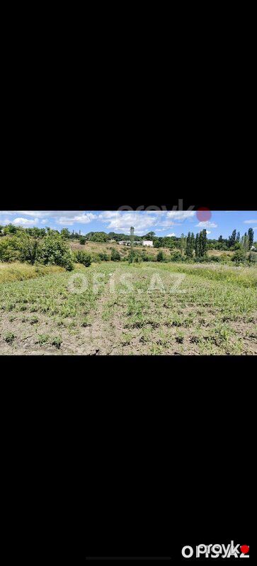Torpaq Satılır Quba, Torpaq sahəsi satılır, 32 sot — Torpaq, Quba (8)