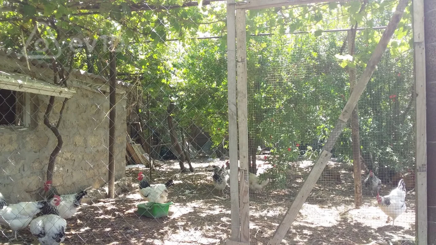 2 otaqlı həyət evi, 50 m², Turkan qesebesi — Ev, villa, Bakı (6)