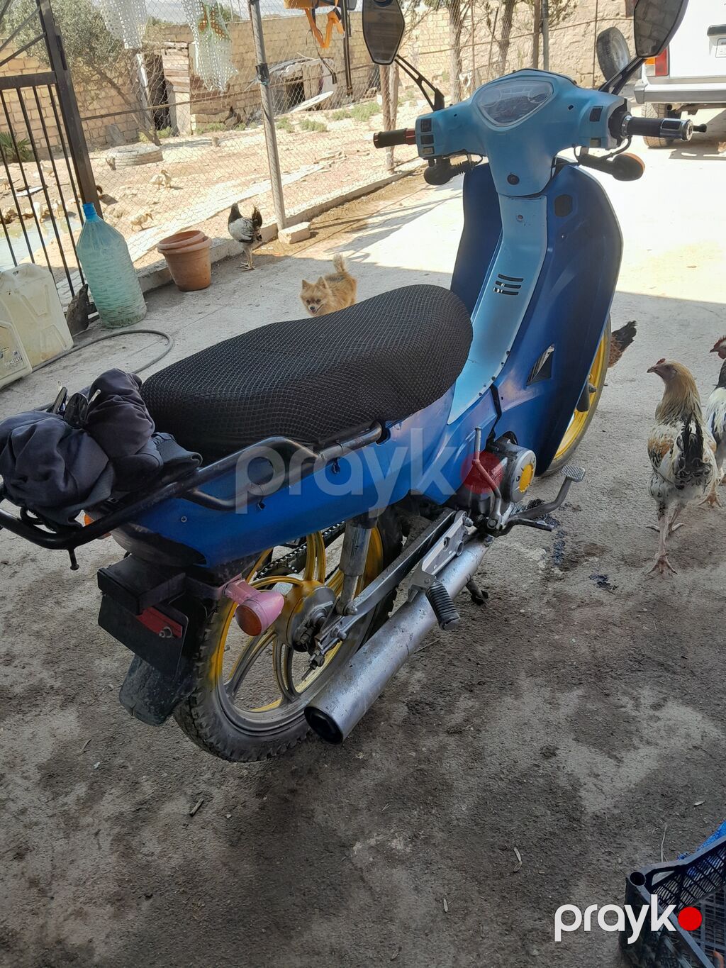Moped/skuter – şəhər içi rahat gediş üçün prak Xüsusiyyətlər — Mopedlər və skuterlər, Sumqayıt (3)