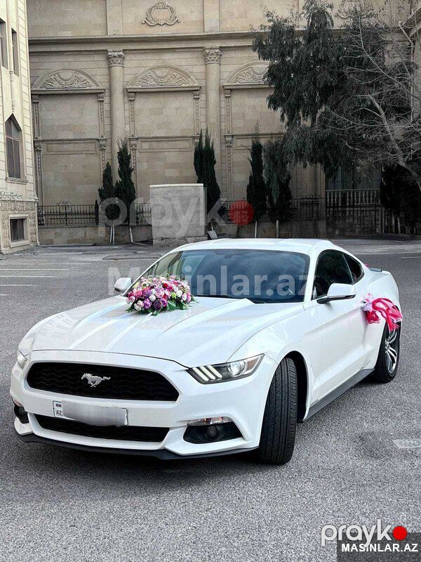 Ford mustang, 2018 il — Minik avtomobili icarəsi, Bakı (6)