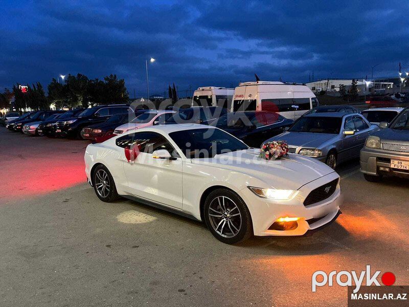 Ford mustang, 2018 il — Minik avtomobili icarəsi, Bakı (7)