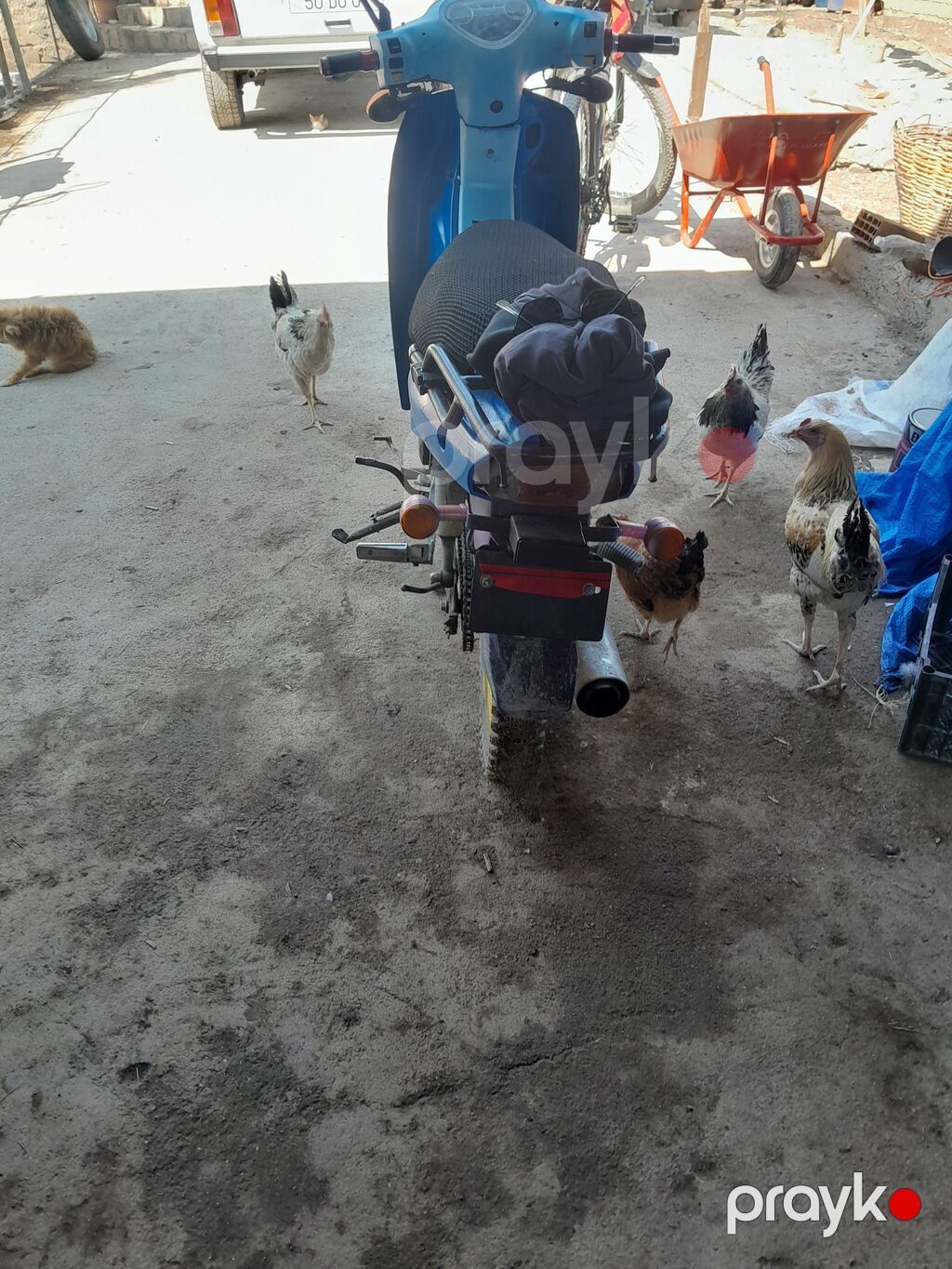 Moped/skuter – şəhər içi rahat gediş üçün prak Xüsusiyyətlər — Mopedlər və skuterlər, Sumqayıt (4)