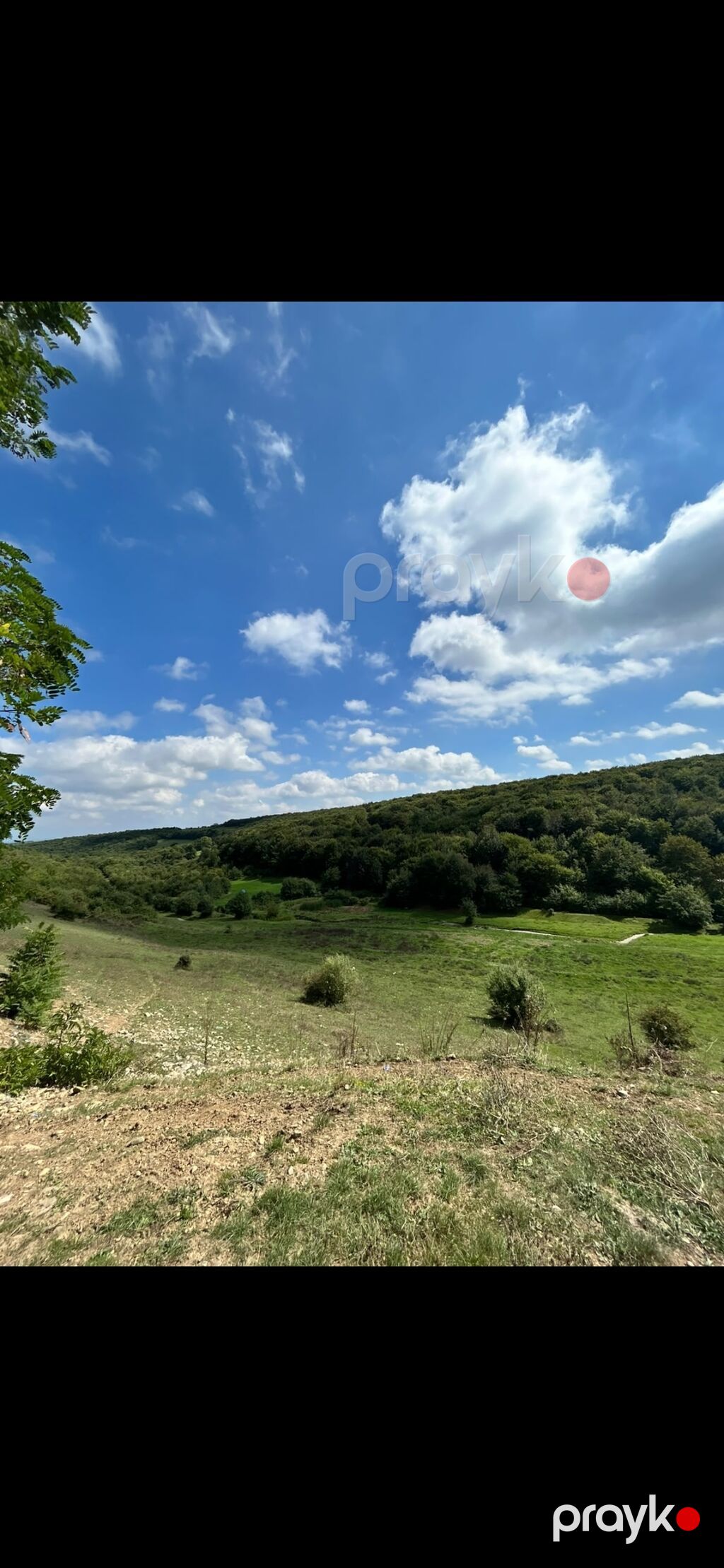 2 otaqlı, 150 kv. m, Yeni təmirli — Ev, villa, Qusar (4)