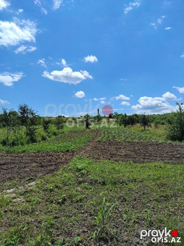 Torpaq Satılır Quba, Torpaq sahəsi satılır, 32 sot — Torpaq, Quba (3)