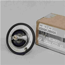 Termostat/Hyundai Accsent — Bakı