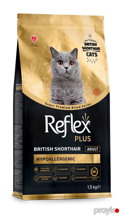 Quru yem Reflex Plus British Shorthair Hypoallergenic Adult yetkin Britaniya qısatüklü cinsli pişiklər üçün 1.5 kq — Bakı