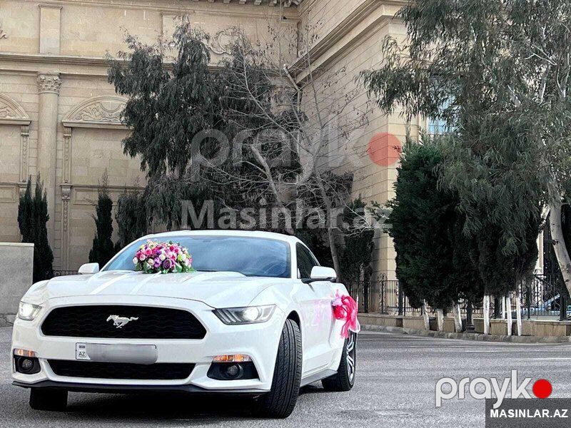 Ford mustang, 2018 il — Minik avtomobili icarəsi, Bakı (10)