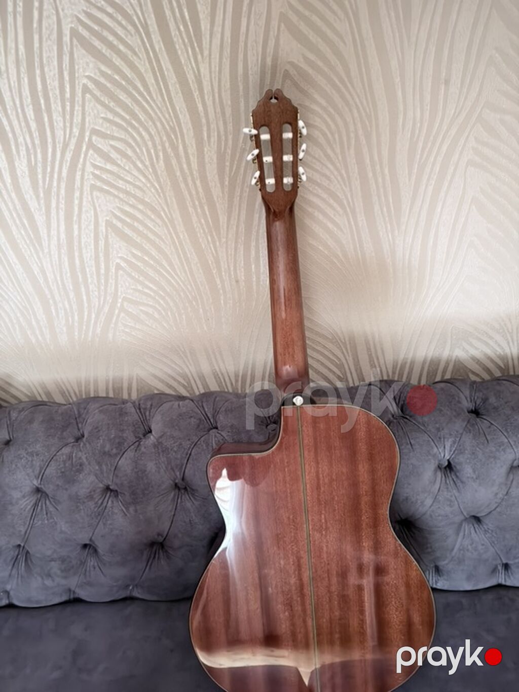 Washburn elektro-klasik gitara - Brend/model: Washburn (başlıqda loqo — Gitarlar və digər simli alətlər, Masazır (3)