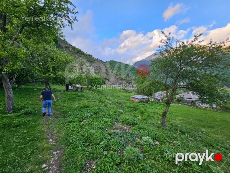 Satılır Torpaq sahəsi, 8 sot, Qəbələ — Torpaq, Qəbələ (7)