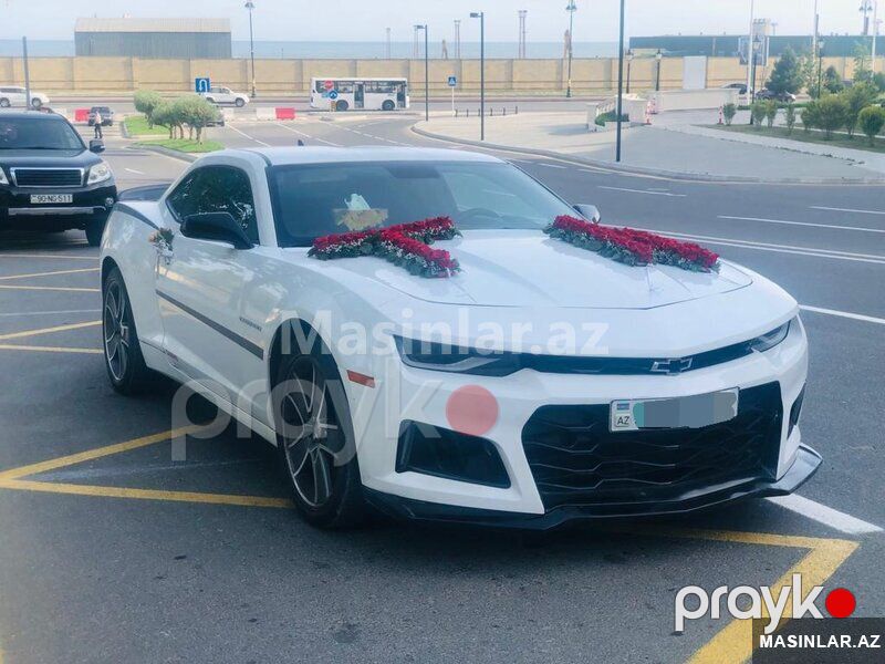 Chevrolet Camaro, 2020 il — Minik avtomobili icarəsi, Bakı (2)
