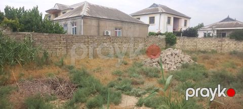 6 sot, Tikinti, Mülkiyyətçi, Kupça (Çıxarış) — Bakı