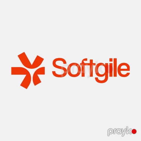 IT Tender & Sales Documentation Coordinator