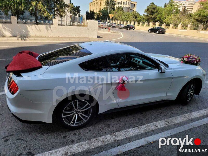 Ford mustang, 2018 il — Minik avtomobili icarəsi, Bakı (3)