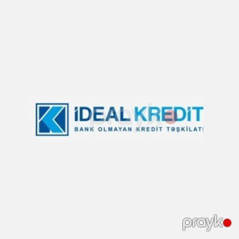 B2B satış təmsilçisi