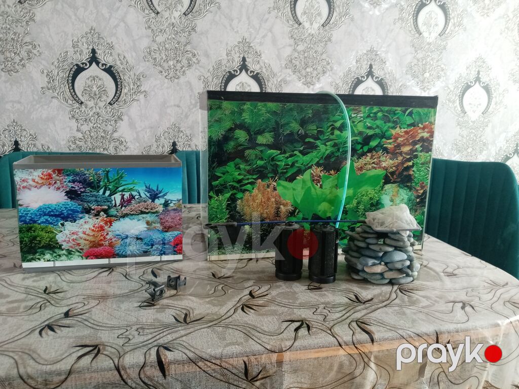 Akvarium dəsti - 2 ədəd şüşə akvarium: biri böyük, biri kiçik (hər — Akvariumlar və balıqlar, Sumqayıt (5)