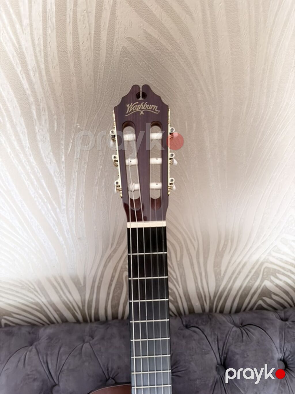Washburn elektro-klasik gitara - Brend/model: Washburn (başlıqda loqo — Gitarlar və digər simli alətlər, Masazır (2)