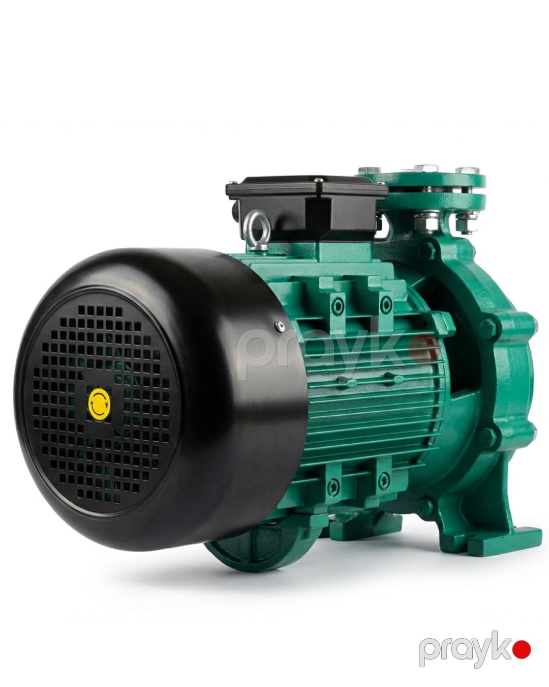 Səthi nasos Shimge 7.5kW SGT32-200/7.5 — Mallar, Bakı (2)