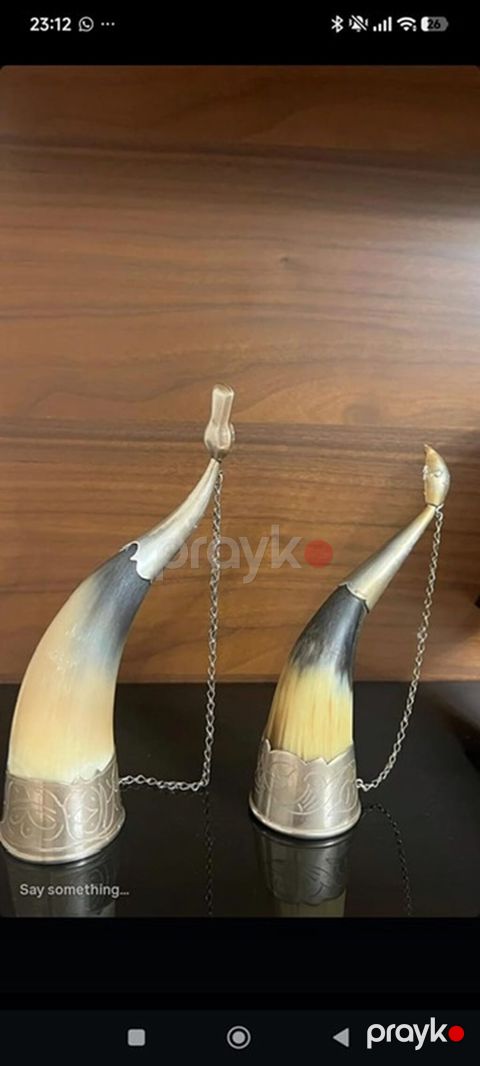 Dekorativ içki buynuzları – 2 ədəd dəst Melxyor ilə bəzədilib 40 azn — Bakı